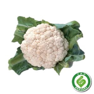 履歷白花菜400g/顆