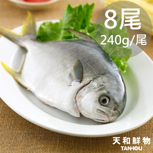  Golden Pomfret