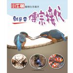 [小牛頓]動物生存高手：就是要傳宗接代 適合9-12歲 精裝全彩 高清照片搭動物影片, , large