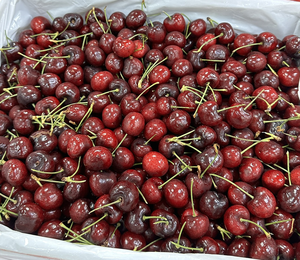 Cherries