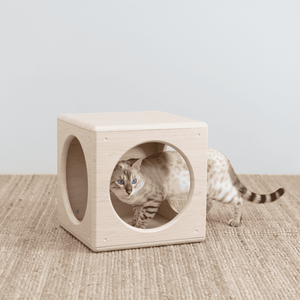 【paipaipets】Wooden Cube - Style Ａ