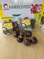 Mangosteen, , large