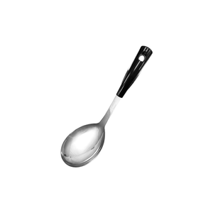 CLARE 可蕾爾 晶鑽316不鏽鋼小五金廚房料理用具 大匙-Leidea樂德兒