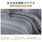 FITNESS 精梳棉雙人被套-安德里-灰, , large