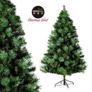 XMAS TREE