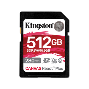 Kingston SD Card