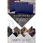 【Hilton 希爾頓】雙滾邊設計純棉立體枕柔軟蓬鬆舒適睡眠民宿, , large