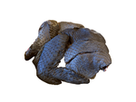 【有心肉舖子】黃金土雞 烏骨雞切塊 500g, , large