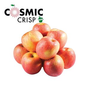 富士蘋果#113(5粒入/每粒約160克)