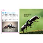 [小牛頓]動物生存高手：就是要傳宗接代 適合9-12歲 精裝全彩 高清照片搭動物影片, , large