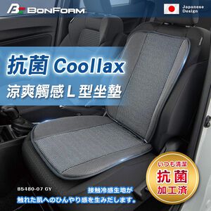Seat Cushion