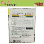 Skystar Large Flower Baby&rsquo;s Breath &ndash; Flower Seeds, , large