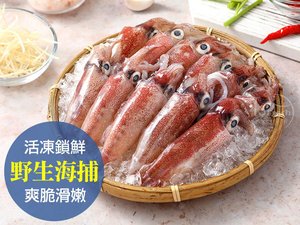 【愛上新鮮】東北角野生海捕鮮凍小卷3盒