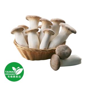 CFBIO King Oyster Mushroom