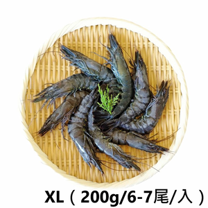 【一夫水產】產銷履歷/藍寶石草蝦－XL