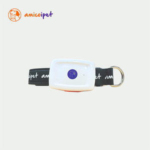 amicoipet