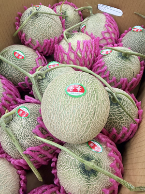 Xiang Hua Melon