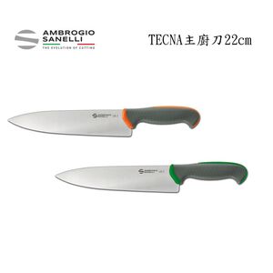 蓋瑞廚物【SANELLI 義大利製 TECNA 主廚刀 22cm】止滑柄  廚房刀 調理刀 廚刀  西式主廚刀 22