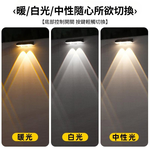 Solar-powered outdoor sensor light / tri-color lighting, , large