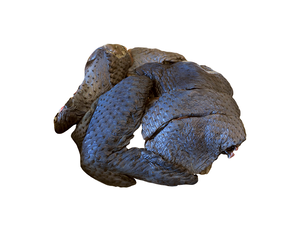【Withheart Meat Shop】Taiwan Native Chicken Cutted Taiwan Silky Fowl 500g
