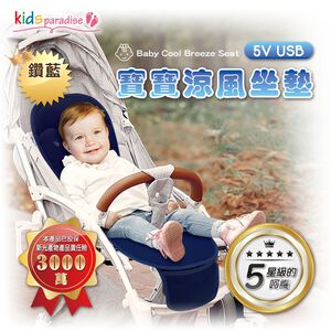 Cooling Cushion