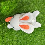 【可愛造型 可機洗 透氣抗菌】小白兔 零錢包 吊飾 鑰匙圈吊飾 禮物 交換禮物 包包吊飾【加贈購物袋顏色隨機】, , large