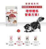 Royal Canin, , large