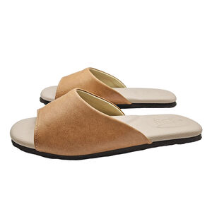 indoorslipper