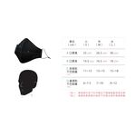 [Xpure] Anti-PM2.5 Mask - All-fit G3 (M), , large