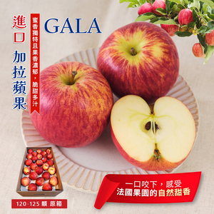 [馥果FruitGo]進口 加拉蘋果 GALA-120-125顆進口原箱18-20kg(法國_紐西蘭_美國)