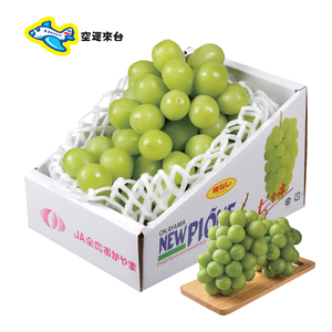 JP Muscat grape