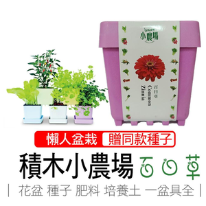 【心安購物】iPlant積木盆栽-百日草
