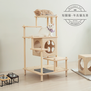 【paipaipets】Short-Legged Cat Jumping Staircase