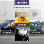 【K's凱恩絲】KF94韓版4D立體透氣蠶絲口罩-鋅離子抗菌/抗病毒布料 (成人專用), , large