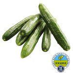 CQL Little Cucumber 300g, , large