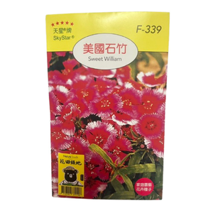Skystar Sweet William &ndash; Flower Seeds