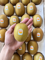 Zespri™ SunGold Kiwifruit, , large