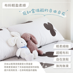 Silky Dream Tencel Cotton Bed Sheet, , large