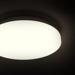 ceiling light, , large