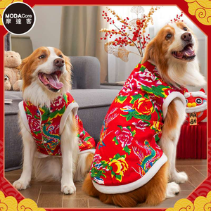 pet clothes