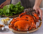 Red crab (cooked and frozen), , large