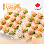 [馥果FruitGo]日本熊本 雅乃莓淡雪粉紅草莓禮盒-一盒兩托(附提袋), , large