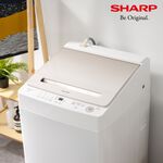 SHARP 12kg Pulsator Inverter Washing Machine ES-ASG12T, , large