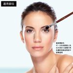【Galatea葛拉蒂】 紅木系列 中圓眼影刷 / 中遮瑕刷R4BF, , large