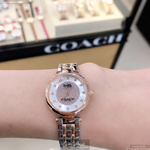 [TIMEMASTER] COACH watch, 26mm, CH00078, , large