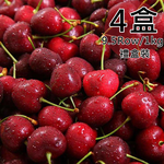 Chilean 9.5 Row Cherry Gift Box, , large