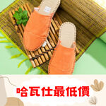 [巴拉娜巴西人字拖專賣店]中壢實體店面 Havaianas哈瓦仕 夾腳拖/人字拖鞋 MULE 包鞋  女款 沙灘 海灘 海邊, , large