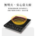 AIWA 愛華 不挑鍋具電陶爐 DTL-709, , large