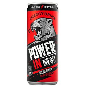 Power In Energy Drink-Lemon Flavor 320m