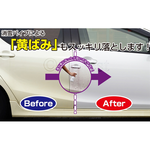 Automotive PRO Yellowing Remover/Iron Powder Remover, , large